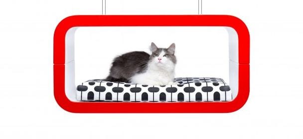 forma_italia_pets_design