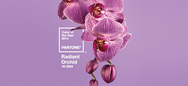 Pantone Radiant Orchid