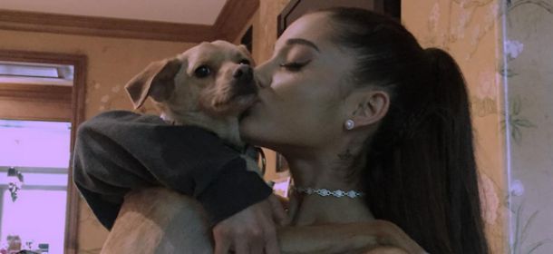 Ariana Grande e le borse Coach Pups: il suo cane testimonial a fin di bene