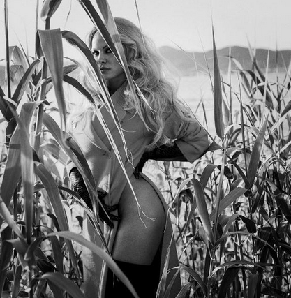 Pamela Anderson