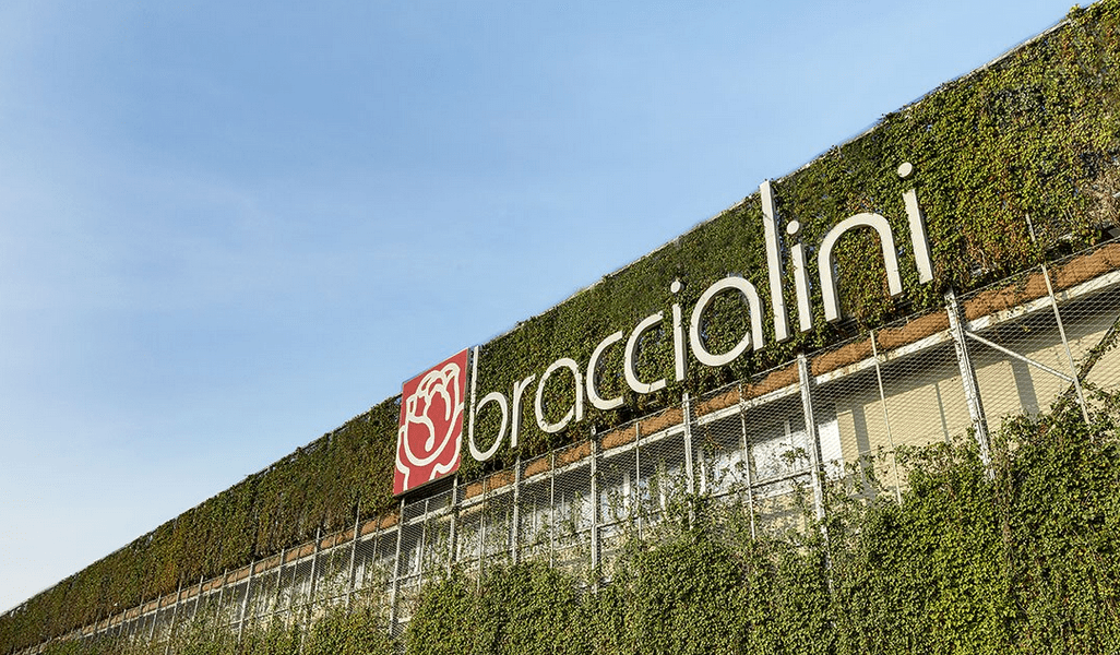 BRACCIALINI