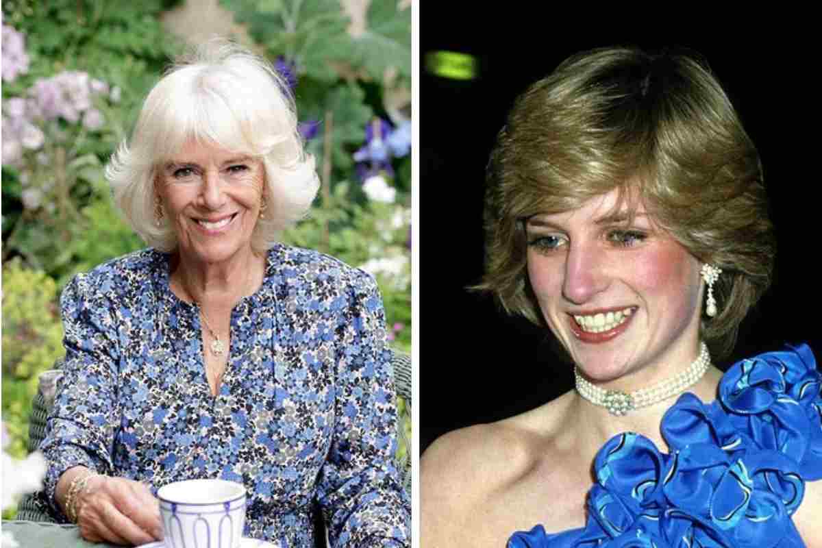 Camilla Lady Diana