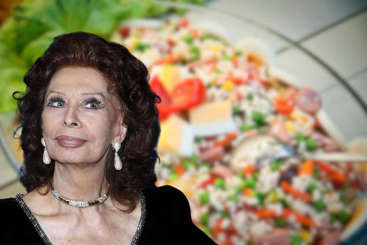 sophia loren riso