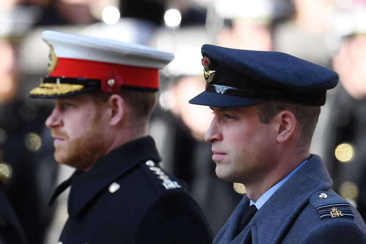 William e Harry oggi