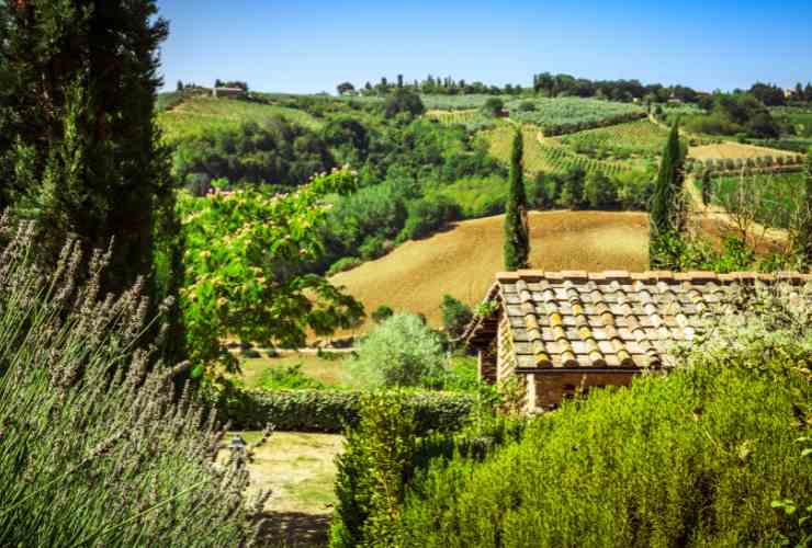 La campagna Toscana è una meta ideale per una vacanza rilassante
